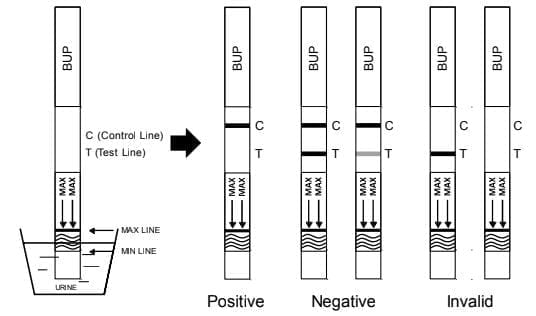 Buprenorphine Test (BUP) – Rapid Urine Drug Test | Testerit