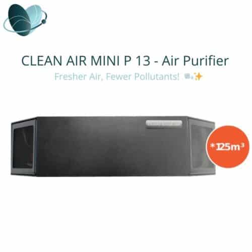 CLEAN AIR MINI P 13 – Air Purifier for Mold, Allergens, and Indoor Air Quality Improvement